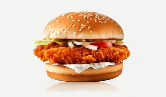 Mexican Veg Burger